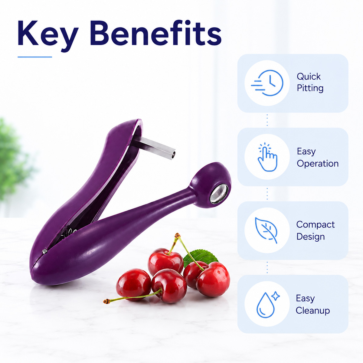 Cherry Kernel Remover Handheld - Kitchen Tools For Baking 评论和价格